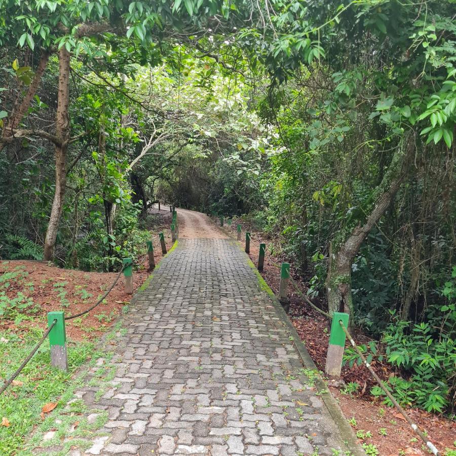 Suite Ampla No Melhor Da Barra Da Tijuca Рио-де-Жанейро Экстерьер фото